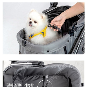 레토퀵폴딩 유모차 강아지유모차