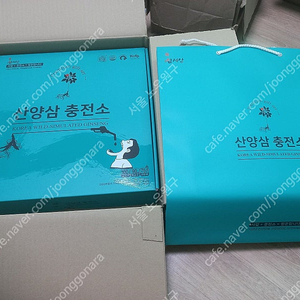 산양삼충전소 장뇌삼 산양삼 액기스 즙 진액 30포 1박스 산삼의기운 원기회복