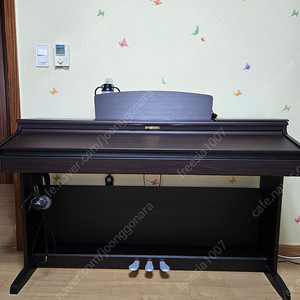 다이나톤 전자피아노 DPR2300
