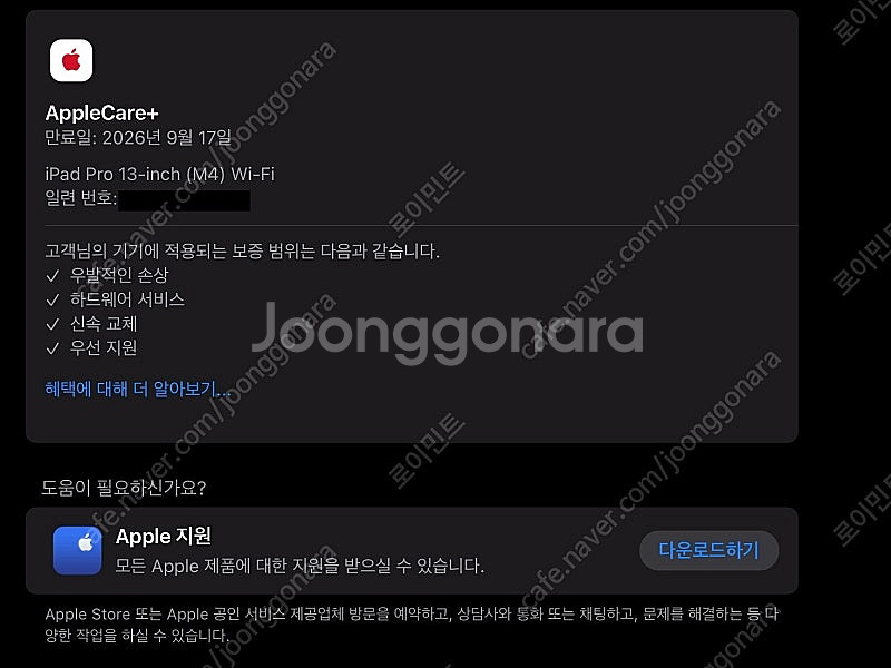 애플 아이패드 프로 13 M4 256GB Wifi 애케...--3