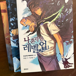 나혼자만 레벨업
