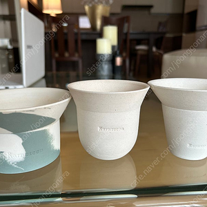카네즈센팟 일괄(런던로우S,씨드 베이비,파리하이 베이비)