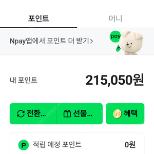 네이버 페이 포인트 20만