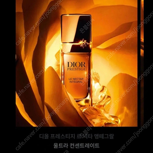 새상품 디올 프레스티지 르 넥타 앵떼그랄