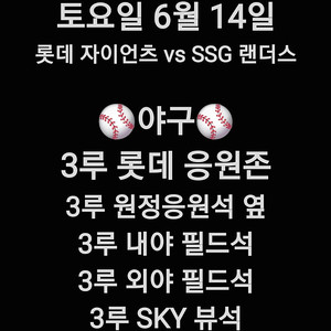 토요일 6월 14일 kt 위즈 삼성 라이온스 야구 티켓 홈 3루 1루 삼성 블루석 블루존 응원 응원석 SKY 하단 상단 지정석 외야 지정석 테이블석 중앙 루프탑 테이블석 외야 패밀