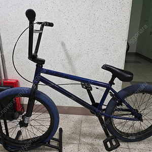 슈레드 핀드 bmx