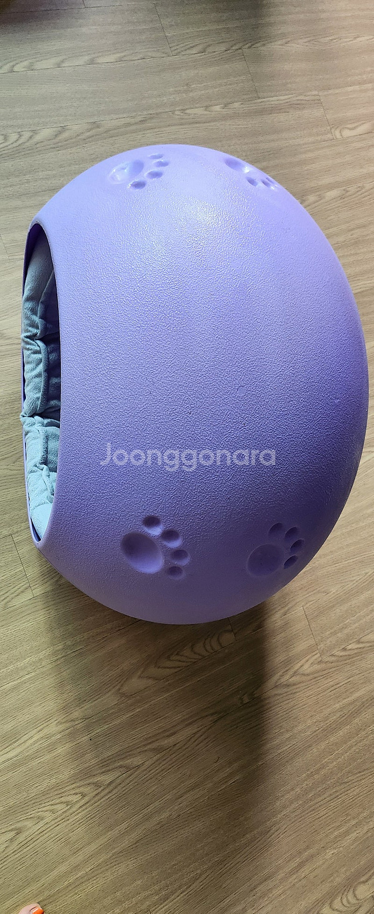애견하우스/고양이집/강아지하우스/반려묘/반려견/에그하우...--2