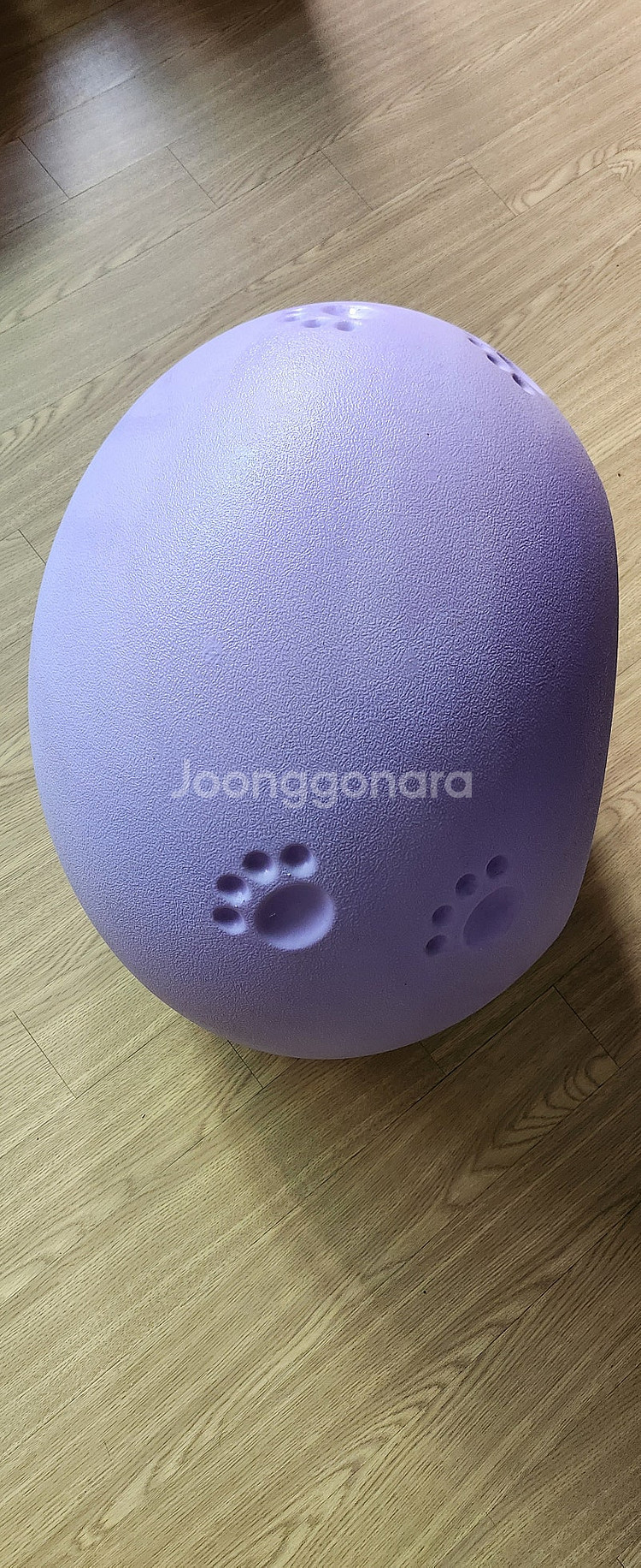 애견하우스/고양이집/강아지하우스/반려묘/반려견/에그하우...--3