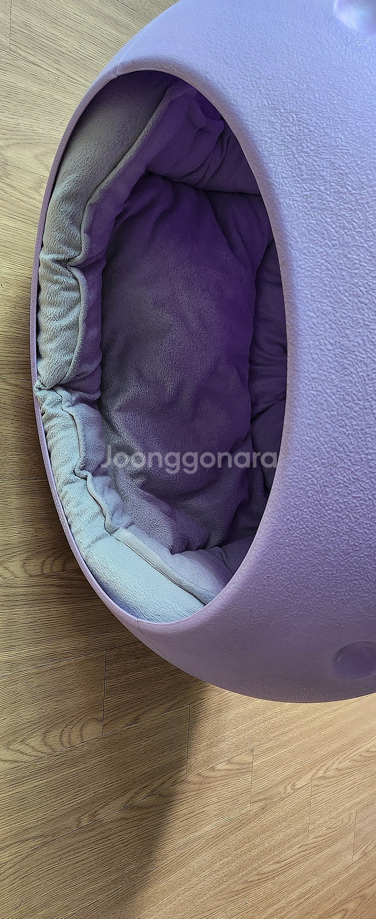 애견하우스/고양이집/강아지하우스/반려묘/반려견/에그하우...--4