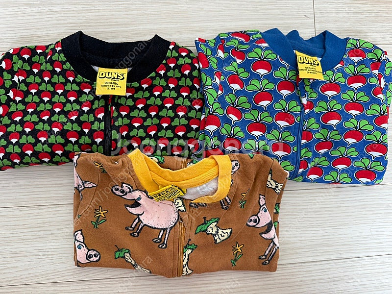 던스 돼지 트루블루 미니순무--0