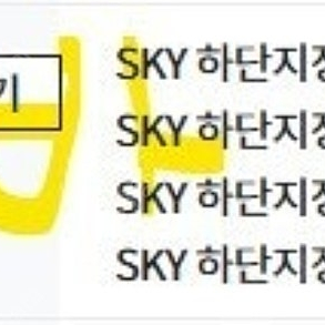 원가양도 6.14 삼성 vs kt SKY 하단지정석 U-31