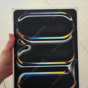 아이패드 M4 13wi-fi 셀룰러 1TB 팝니다.