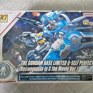 hg g셀프(지셀프) 퍼펙트팩 택포