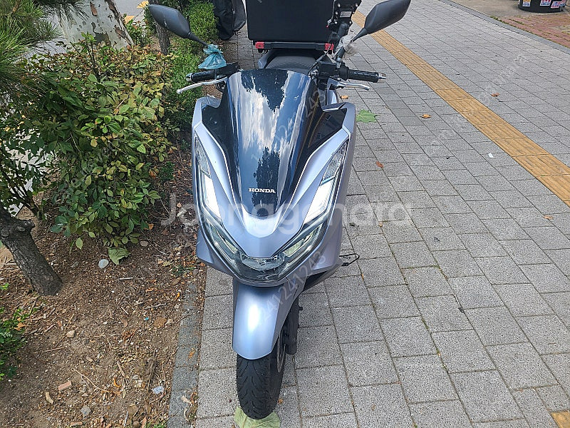 Pcx 125 abs--5