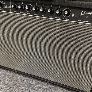 팬더 챔피온100 fender champion100