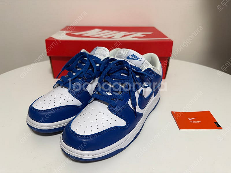 덩크로우 sp 켄터키 260--0