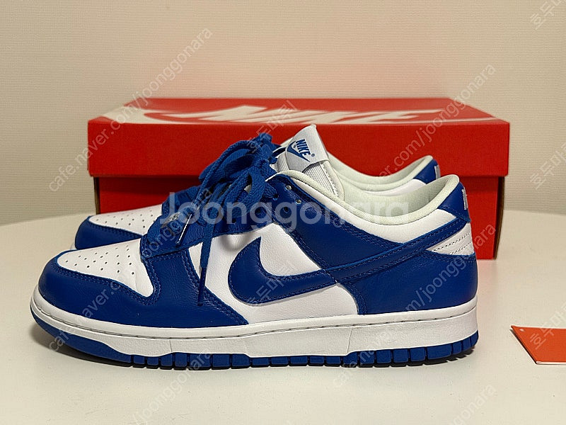 덩크로우 sp 켄터키 260--2