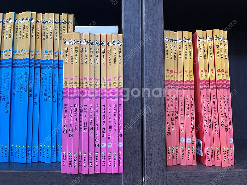 여원미디어 탄탄 플러스업자연속으로 새책급 +동물카드/네...--2