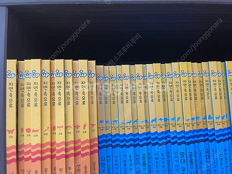 여원미디어 탄탄 플러스업자연속으로 새책급 +동물카드/네...--3