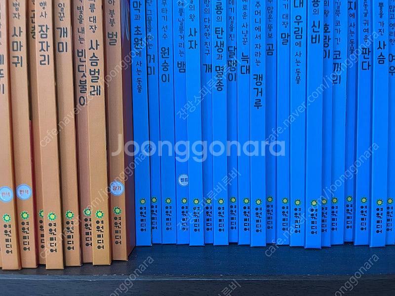 여원미디어 탄탄 플러스업자연속으로 새책급 +동물카드/네...--4