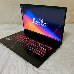 MSI 3060, i5-10500H 게이밍노트북