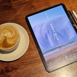 아이패드 m4 11 애케플로 미니7 구합니다