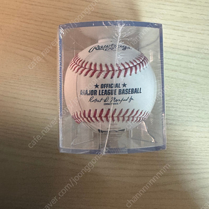 MLB 공인구 (오늘만 이 가격!)