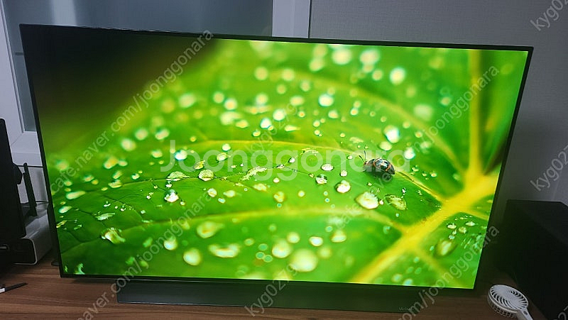 LG OLED 48cx 팝니다 (루나랩 헤비모니터암 포...--0