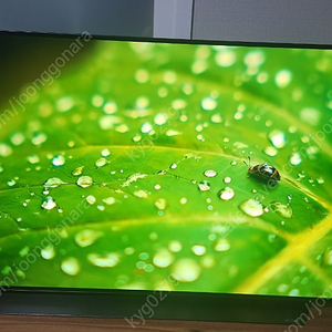 LG OLED 48cx 팝니다 (루나랩 헤비모니터암 포함)