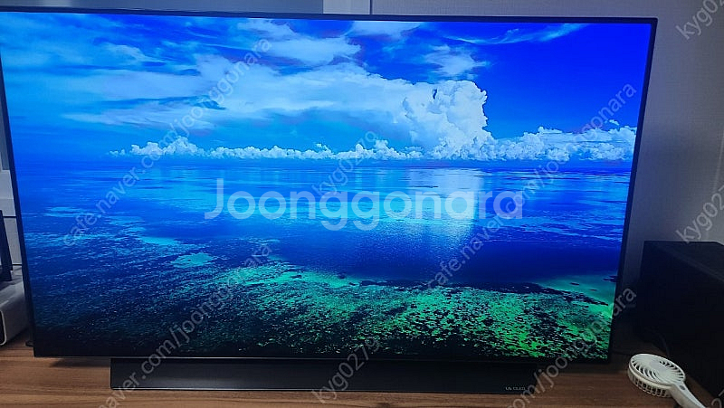 LG OLED 48cx 팝니다 (루나랩 헤비모니터암 포...--2