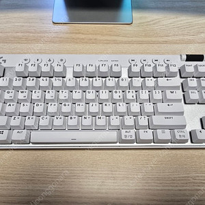 로지텍 프로 X TKL 라이트스피드 갈축 키보드 팝니다.