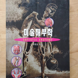 해부학, 작법서, 디오라마
