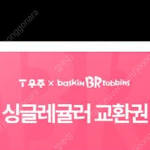 베라 싱글레귤러