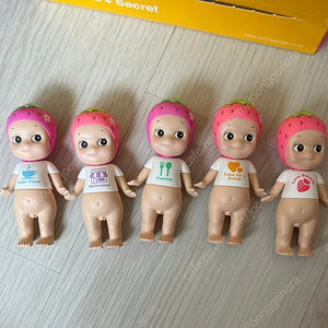 소니엔젤 테라스 서울 시리즈 딸기 5종