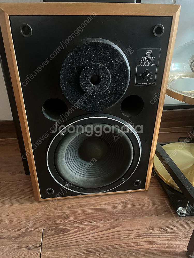 Ev sentry 100a sfv 스피커--0