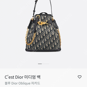 디올 쎄디올 미듐