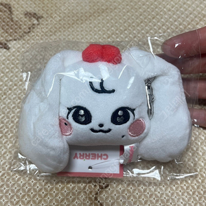 아이브 팝업 미니브 체리
