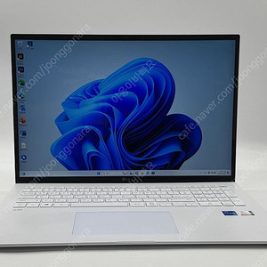 [LG전자] 그램17 17ZD90P-GX50K / i5-1135G7, 8GB RAM, 256GB SSD, 17" WQXGA, 충전기 포함