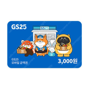 gs25 3000 모바일상품권---> 2700 [~26.06.08]