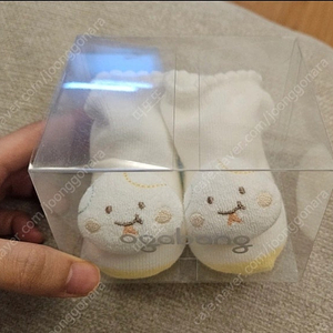 아가방 뱀띠 아기 양말