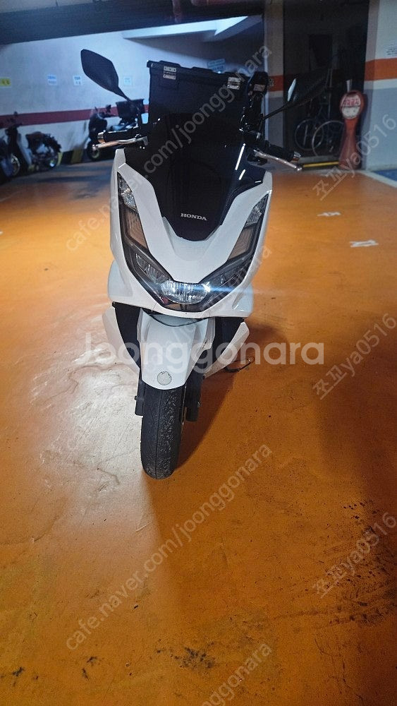 pcx125 23년식 짧은키로수팝니다--0