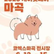 [즉시전송] 케이펫페어 코엑스마곡 입장권 2장(3500원씩)