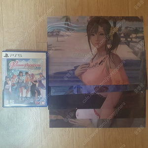 PS5 비너스 베케이션 프리즘 + 예구특전 택배비포함 가격 판매해요