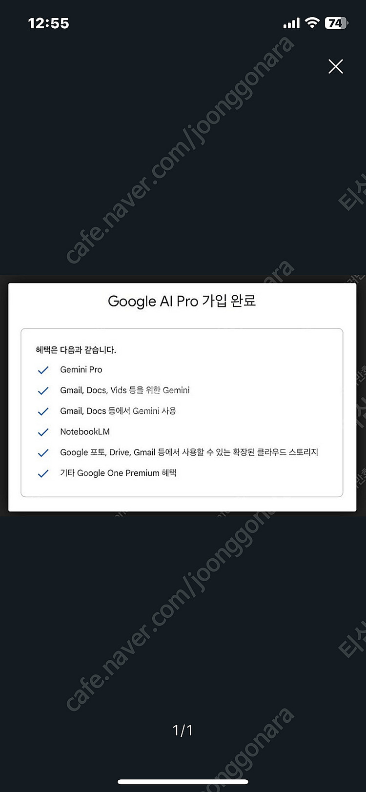 유튜브 프리미엄& googleone AI Pro--0