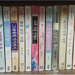 외국 로맨스 소설 다수 (주드 데브루, 주디스 맥노트, 조안나 린지 등 등)