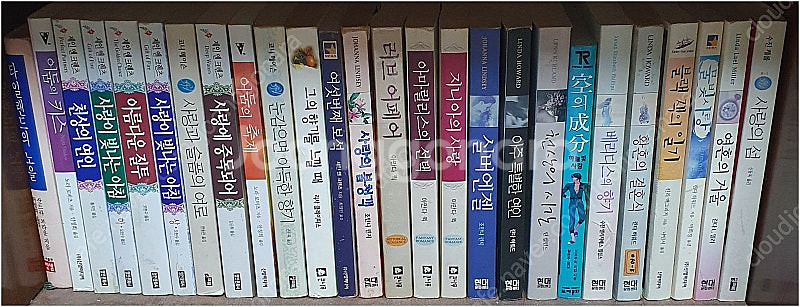 외국 로맨스 소설 다수 (주드 데브루, 주디스 맥노트,...--2