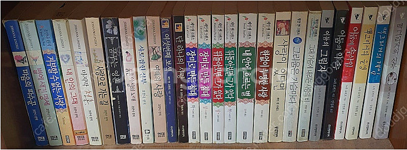 외국 로맨스 소설 다수 (주드 데브루, 주디스 맥노트,...--9