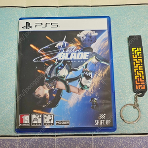PS5 스텔라블레이드 + 특전 USB