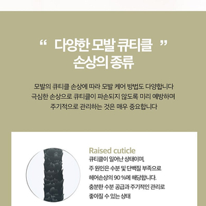 알터에고 실크오일 일루미네이팅 로션 헤어앰플