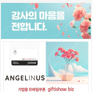 엔제리너스 1만원 잔액관리형 판매